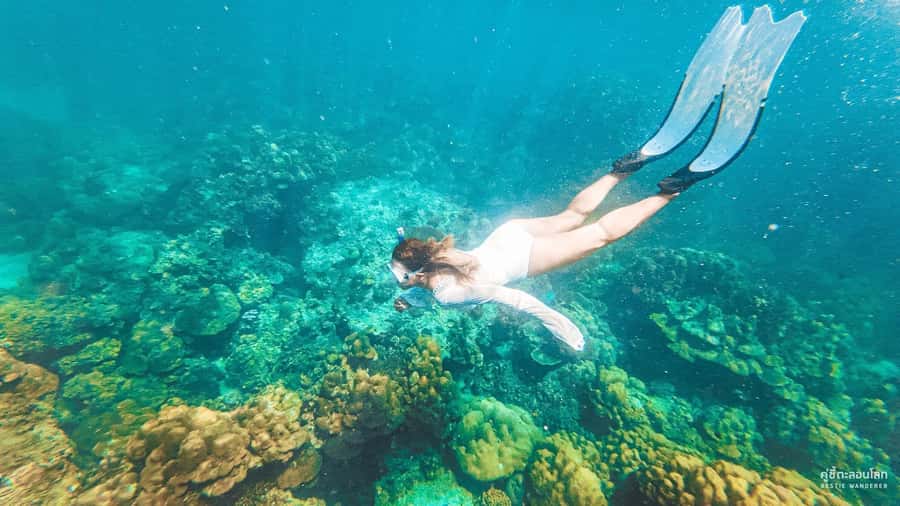 Phuket: Speedboat Day Trip to Phi Phi and Maya Bay - Key Things I’d Book For (and Why They Matter)