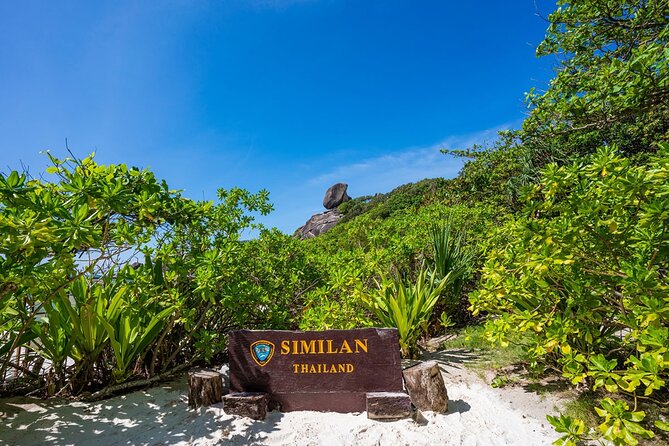 Phuket to Similan Islands Snorkeling Tour - Pier logistics and speedboat transfers: fast, organized, and sometimes crowded