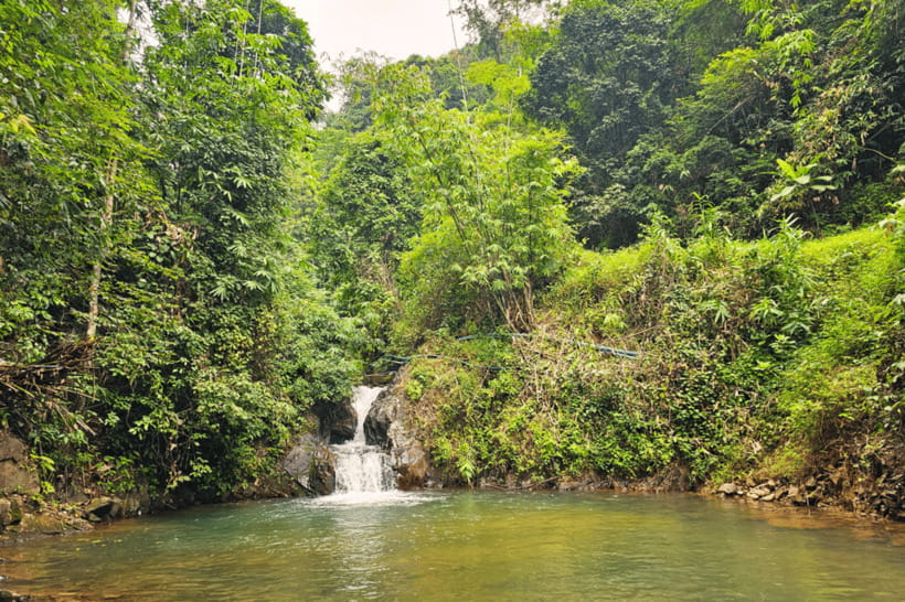 Phuket: White Water Rafting, ATV, and Zipline Adventure - Lunch at Song Phraek: fuel, not a food tour