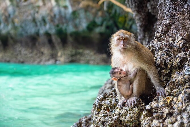 Phuket: Wow Andaman Snorkeling Trip to Phi Phi & Bamboo Islands - Maya Bay: famous photos, strict limits, and how to make 45 minutes count