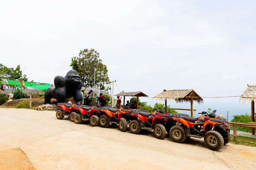 Phuket: Zipline Flying Higher than a Hawk with ATV Option - Guides, Flora, and Fauna: The Part People Underestimate