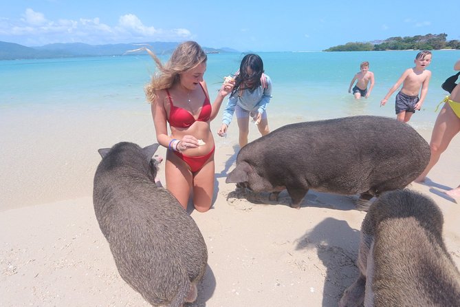 Pig Feeding, Kayaking, Snorkeling Trip at Pig Island By Speedboat From Koh Samui - Gear, food, and comfort: what’s included, and what to bring anyway