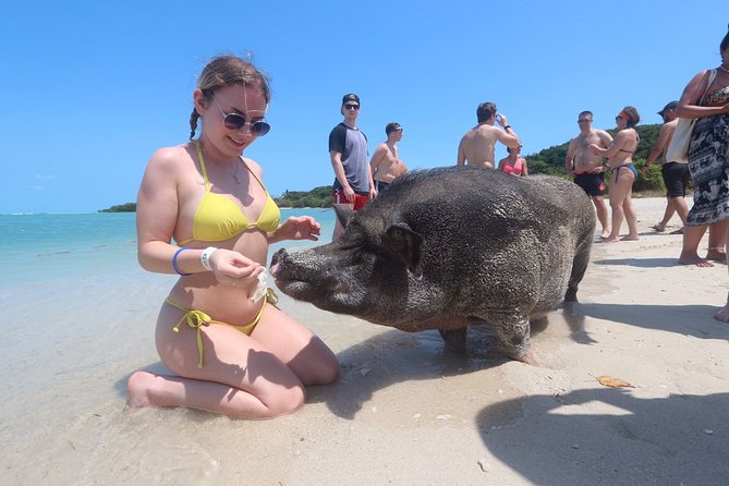 Pig Feeding, Kayaking, Snorkeling Trip at Pig Island By Speedboat From Koh Samui - Price and value: what $57.92 really buys, plus extras
