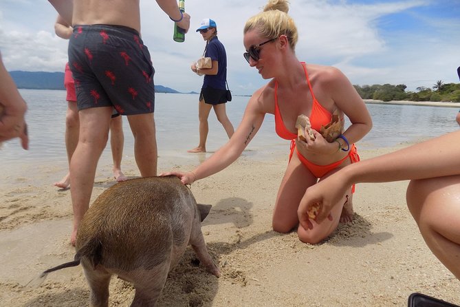 Pig Feeding, Kayaking, Snorkeling Trip at Pig Island By Speedboat From Koh Samui - Who should book this Pig Island trip, and who should skip it