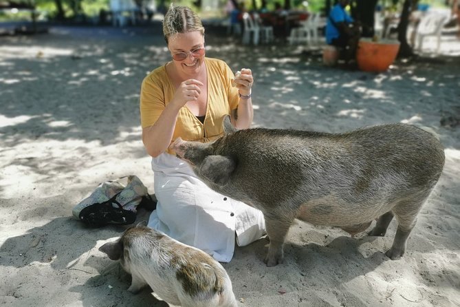 Pig Feeding, Kayaking, Snorkeling Trip at Pig Island By Speedboat From Koh Samui - Ko Mat Sum: kayaking and beach time plus lunch on the island