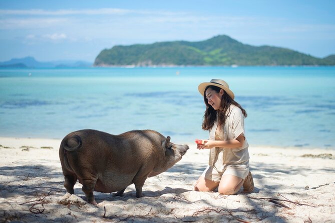 Pig Island (Koh Mudsum) and Koh Tan Tour with Meal from Koh Samui - Key Highlights You’ll Feel Fast