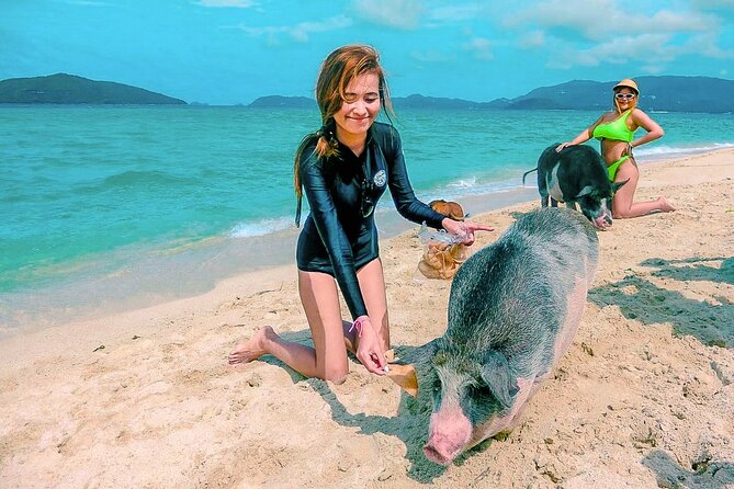 Pig Island (Koh Mudsum) and Koh Tan Tour with Meal from Koh Samui - Madsum Island (Pig Island): Friendly Pigs, Viewpoints, and Kayaking