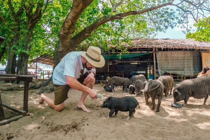 Pig Island (Koh Mudsum) and Koh Tan Tour with Meal from Koh Samui - Getting to the Boat: Pickup, Meeting Points, and Timing