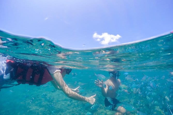 Pig Island & Koh Tan Tour by Speed Boat (Snorkeling & Kayaking) - Price and Value: Is $50.46 Worth It?
