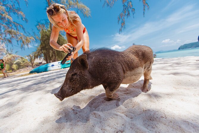 Pig Island Private Longtail Boat Trip From Koh Samui - Koh Tan Stop: Clear, Calm Water and Snorkeling Mask Included