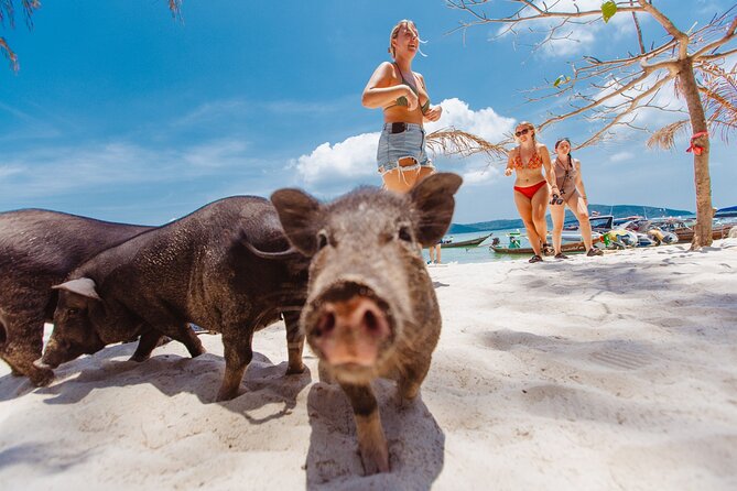 Pig Island Private Longtail Boat Trip From Koh Samui - Swimming, Exploring, and Simple Eco-Style Options on the Island