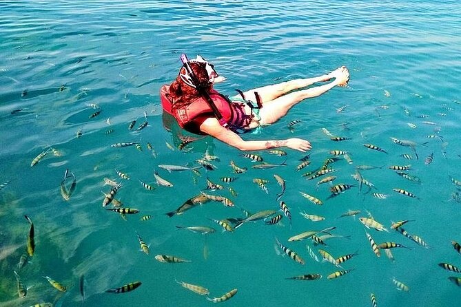 Pig Island ,Snorkeling, Private Long Tail Boat (Local Thai Experience) - Stop 2 Koh Tan snorkeling: coral island, fish, and real visibility