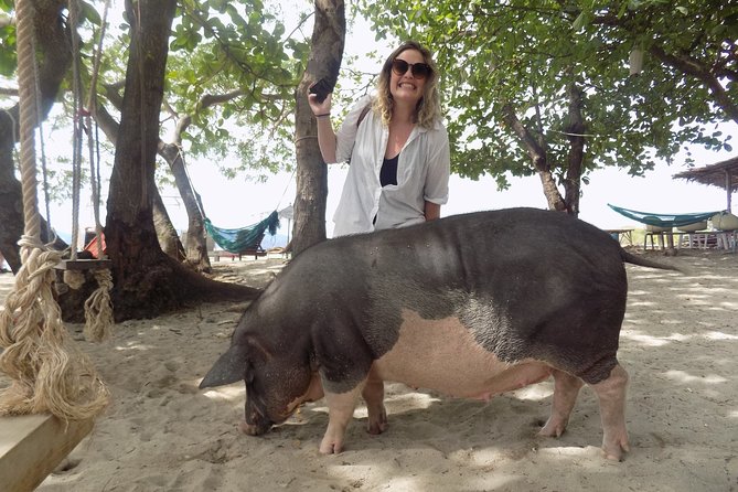 Pig Island Snorkeling & Sightseeing Tour By Speedboat From Koh Samui - Lunch, Water, and the Small Comforts That Keep You Sane