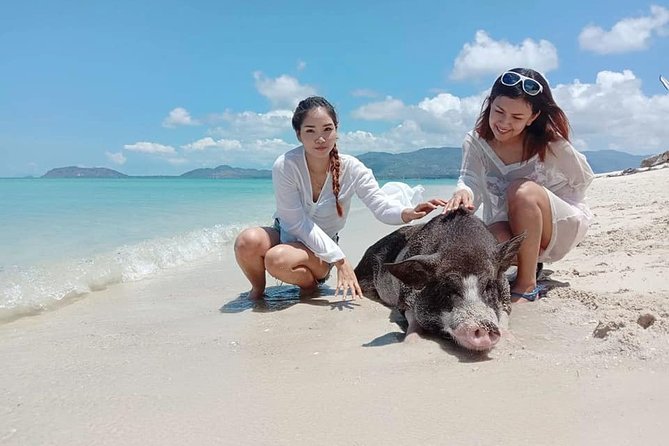 Pig Island Snorkeling & Sightseeing Tour By Speedboat From Koh Samui - The Guides, the Boat Ride, and the Day’s Real Strengths
