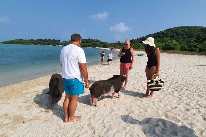 Pig Island Snorkeling & Sightseeing Tour By Speedboat From Koh Samui - Crowds, Cleanliness, and Snorkeling Reality in Peak Island Time