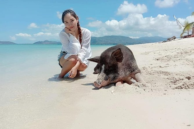 Pig Island Snorkeling & Sightseeing Tour By Speedboat From Koh Samui - Who Should Book This Tour, and Who Should Skip It