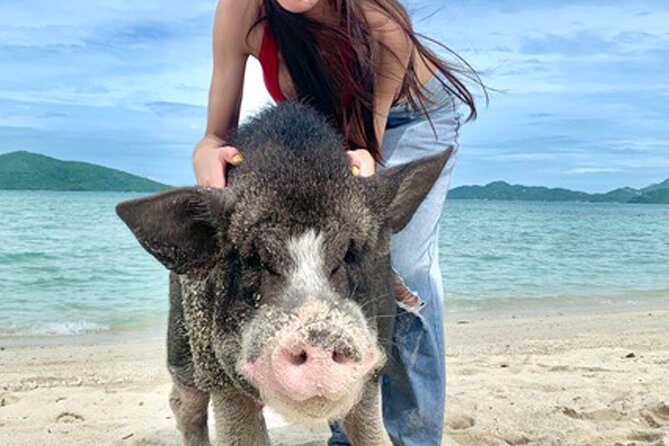 Pig Island Tour by Speedboat with Snorkeling - Hotel pickup and the timing reality (why some days feel longer)
