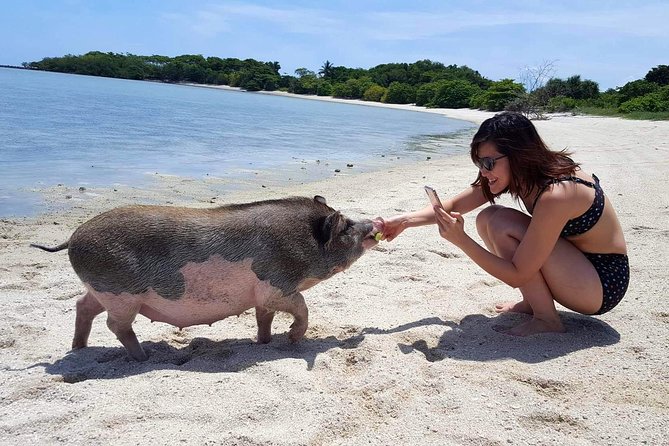 Pigs Island exclusive Semi VIP - Hidden Lagoon at Koh Tan: Where the Day Feels Like the Main Event