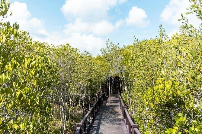 Pranburi Forest Park and Khao Daeng Join Tour from Hua Hin - The Pranburi River Longtail Boat Cruise: Quiet Water, Mixed Wildlife Odds