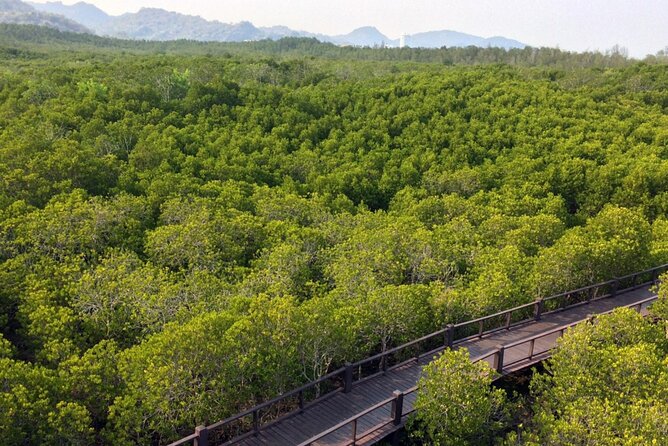 Pranburi Forest Park and Khao Daeng Join Tour from Hua Hin - Timing, Lunch, and The Pace That Keeps You Comfortable