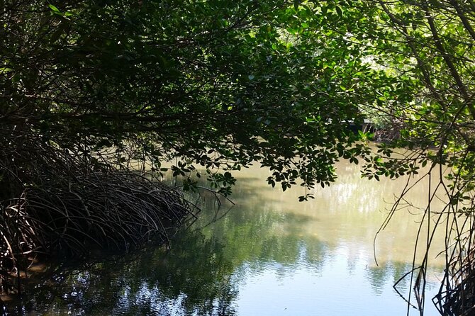 Pranburi Forest Park and Khao Daeng Join Tour from Hua Hin - Who This Tour Fits Best (And Who Might Skip It)