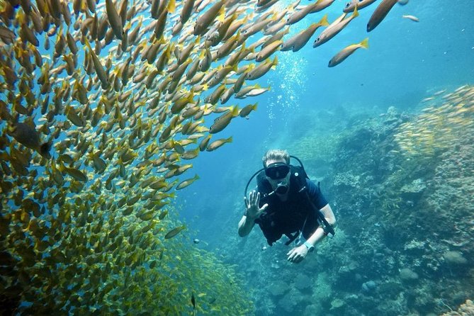 Premium Guided Scuba Diving Day Trip for Certified Divers - Why M/V Matcha feels like Phuket’s calm-water option