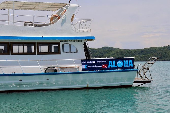 Premium Guided Scuba Diving Day Trip for Certified Divers - How the crew keeps it safe and comfortable