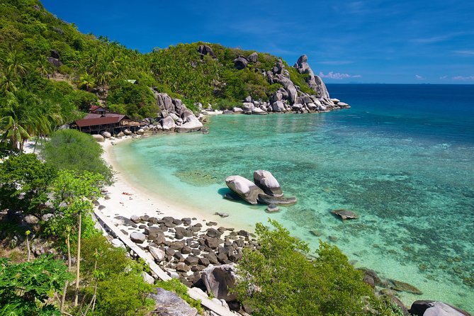 Premium Snorkel Tour to the Bays of Koh Tao onboard the Oxygen - Hin Wong Bay: colorful fish where you can focus