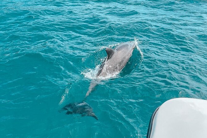 Private Boat Tour with Dolphin Spotting and Snorkelling from Phuket - Stop 1 at 5 Star Marine: briefing, drinks, and ready-to-go energy