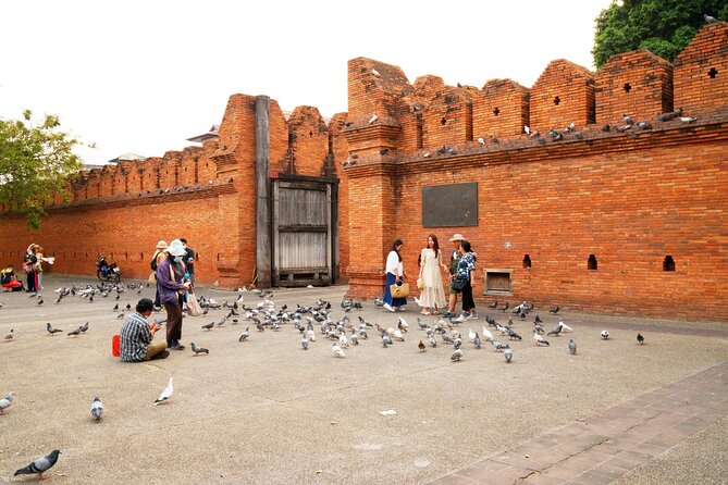 Private Chiang Mai Old City Half Day Tuk Tuk Tour - Stop 1: Tha Phae Gate and the canal moat scene-setter