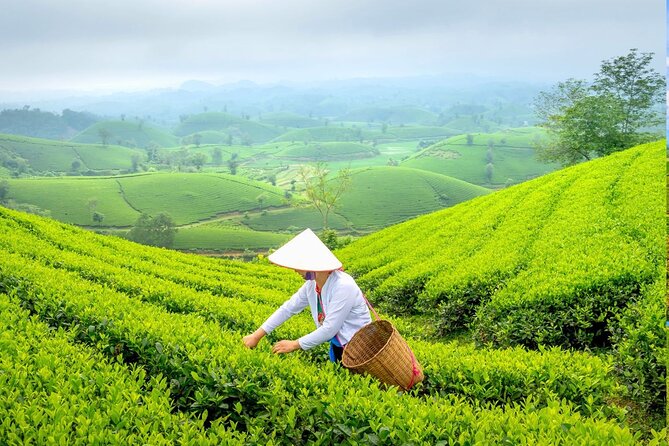 Private Chiang Rai Day Trip with Golden Triangle from Chiang Mai - A full day in Chiang Rai, built for real sightseeing (not rushing)