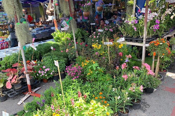 Private Exclusive Guided Chatuchak Weekend Market Shopping Tour - Price and Value: Is $90.25 a Good Deal?