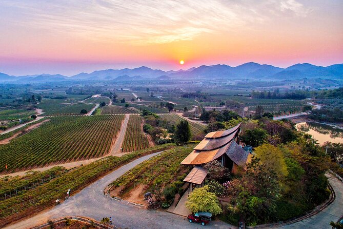 Private Experience of Wine Tasting Hua Hin in Monsoon Valley - Monsoon Valley vineyard tour: how grapes grow in a tropical climate