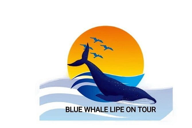 Private Experience with Fishing, Barbeque, Sashimi and Snorkeling - Quick hits before you book