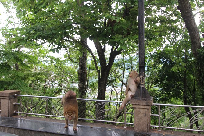 Private food Tour + Sightseeing +Thai Cooking class - Sightseeing with a culture lens, not a checklist