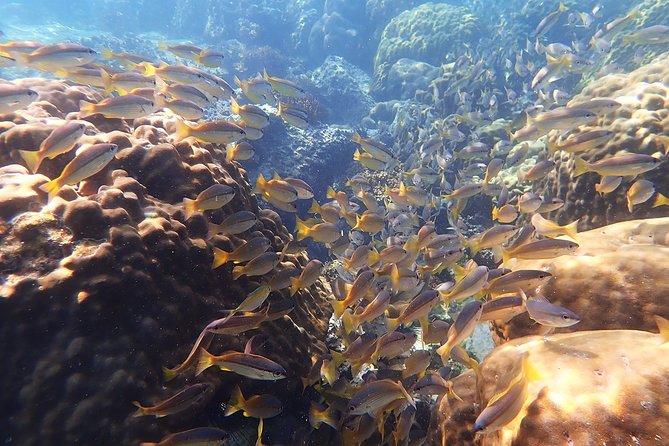 Private Full-Day Red Dragon Yacht to Angthong National Marine Park - Five Islands and the Bird’s Nest Story Before Ang Thong