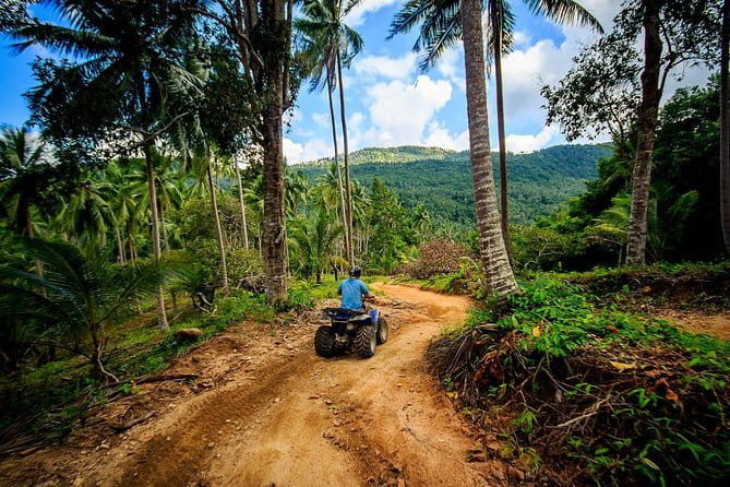 Private Jungle 4x4 Safari Tour - Full Day Discovery of Koh Samui - Off-road jungle tracks and the viewpoint moments that make the 4x4 worth it