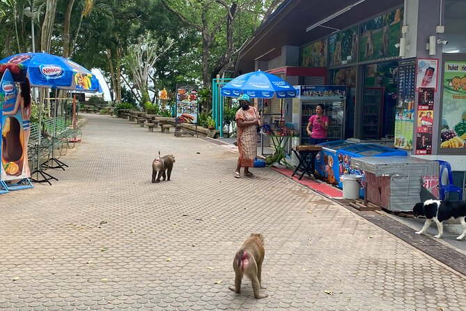 Private local city tour with english speaking driver - Price and Value, Why This Can Be a Good Deal in Phuket