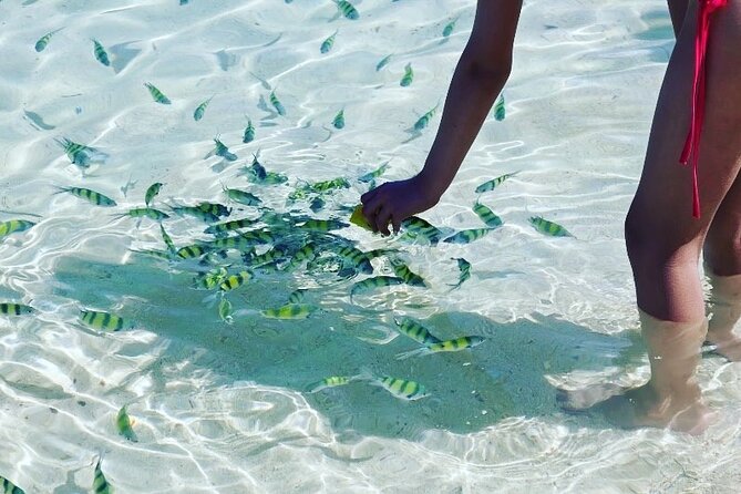 Private Longtail Boat Tour to Hong Islands - Pak Bia Island: Low Tide, Photo Swing Timing, and Short Swim Breaks