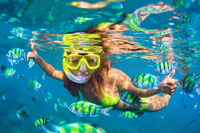 Private Phi Phi and Bamboo Islands Snorkeling Tour by Speedboat - Phi Phi Lee to Maya Bay: Big Views, Tight Time Windows