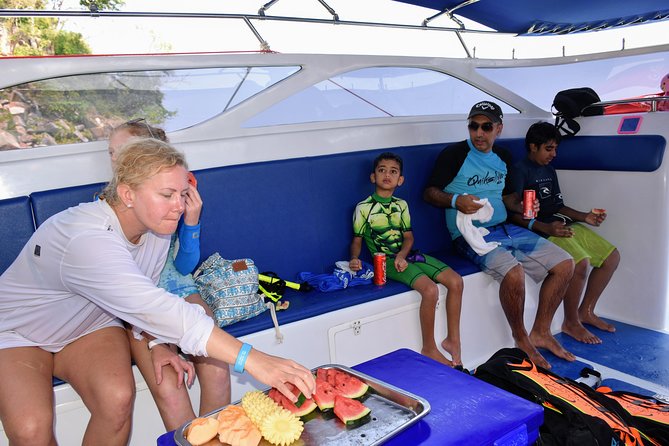 Private Phi Phi Island Speed Boat Tour from Krabi - Price, Park Fees, and Whether Private Adds Up