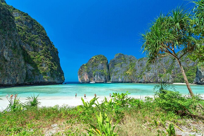 Private Phi Phi Islands & Bamboo Full Day Tour with snorkeling - What This Private Phi Phi and Bamboo Tour Feels Like