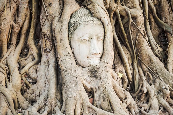 Private Tour: Ayutthaya Day Trip with Boat tour - Price and Logistics: What $242 Gets You (and What It Does Not)
