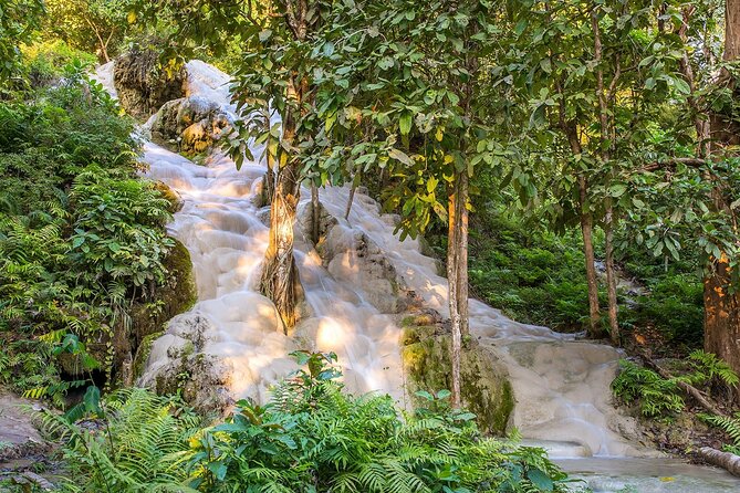 Private Tour: Bua Thong Sticky Waterfalls Tour - Your 9:00 am Chiang Mai pickup and 4-hour pacing