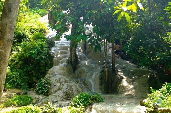 Private Tour: Bua Thong Sticky Waterfalls Tour - Why the guide names matter, and what to ask for