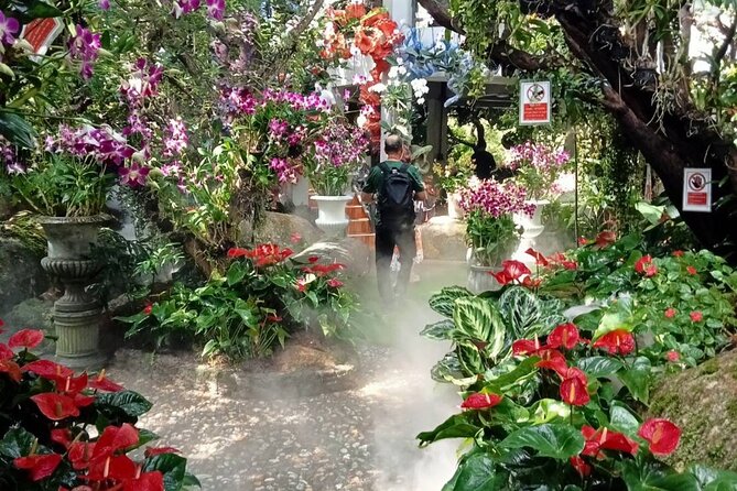 Private Tour Chiang Rai 3 Wonderful Temples & Lalitta Cafe - Watch-outs: the packed day and the English-speaking requirement