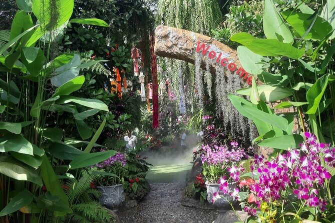 Private Tour Chiang Rai 3 Wonderful Temples & Lalitta Cafe - Wat Rong Khun White Temple and the Cave of Art ticket