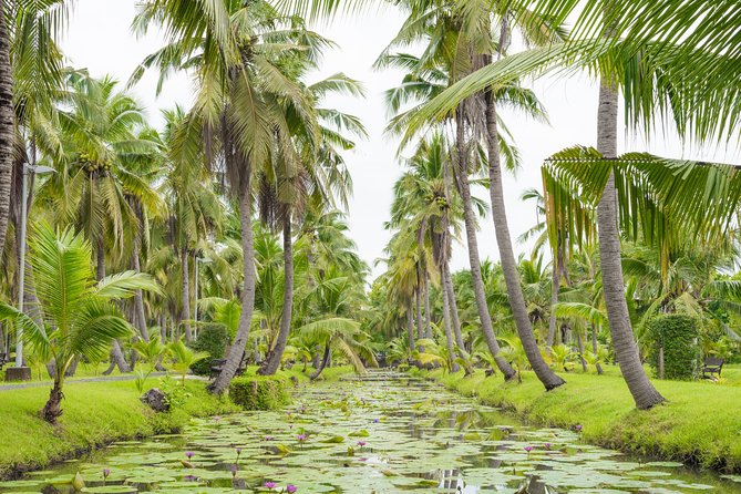 Private Tour: Floating Markets and Suan Sampran Day Trip from Bangkok - Restrooms, Mobility, and Practical Comfort