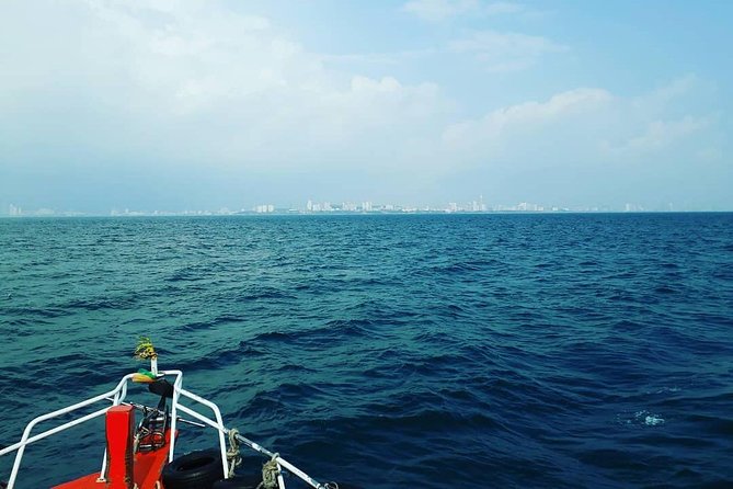 Racha & Coral Island Day Trip by Speedboat - Lunch Included - Coral Island stop: classic beach scene, more crowds, and water-sport options
