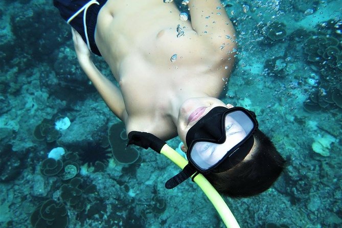 Railay and 4-Island Sunset Speedboat Cruise with Night Snorkel - The real magic: bioluminescent plankton night snorkel